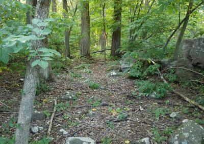 2016 SLCT Members creating a trail on the property