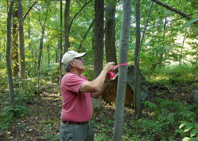 2016 - Member Val Guarino setting up for Tree Ids