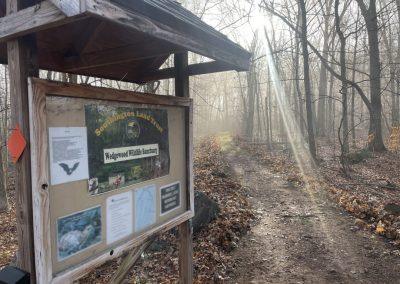 Troop 45 in Southington trail maintenance.