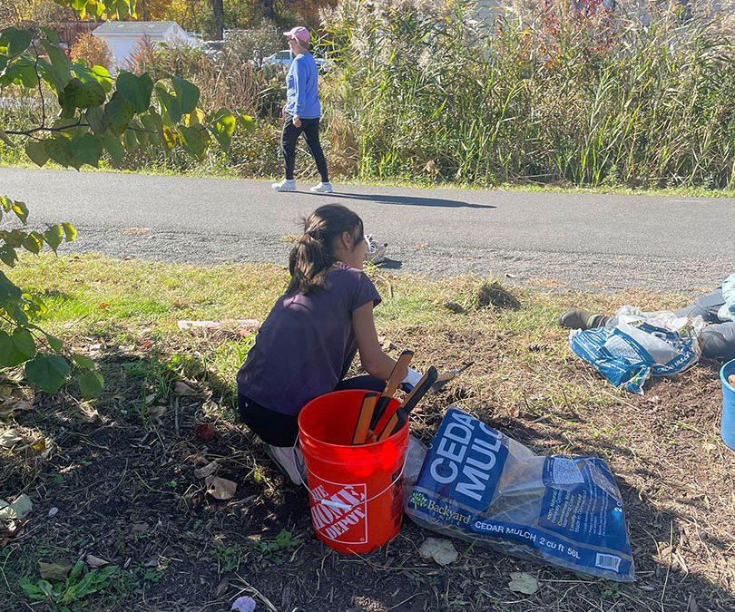 Growing Green: Saige’s Volunteer Adventures with the Southington Land Trust