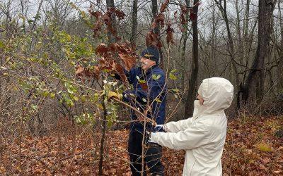 Growing Green: The Johnson Property